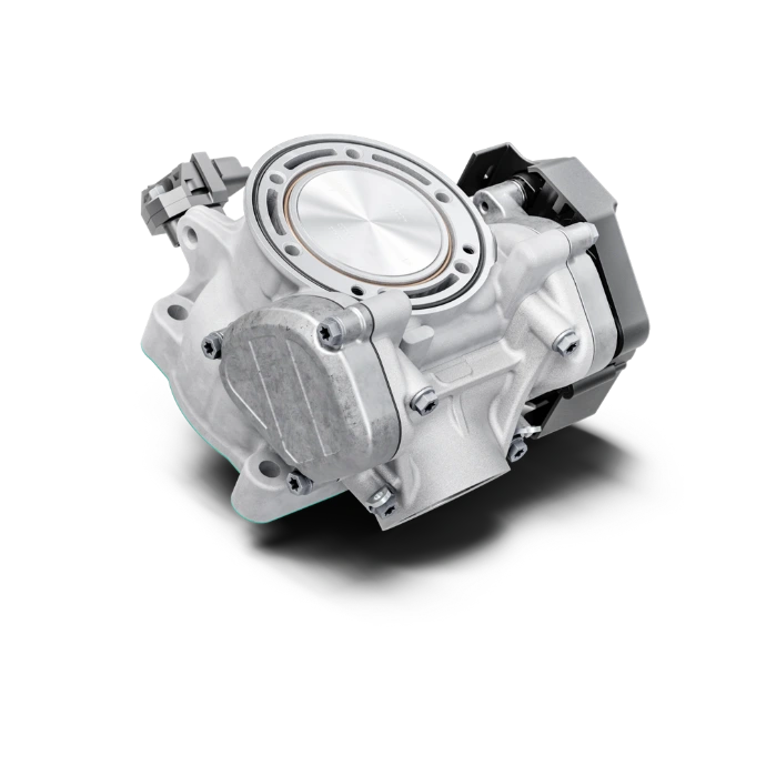 TE 250 Heritage 2025 cylinder